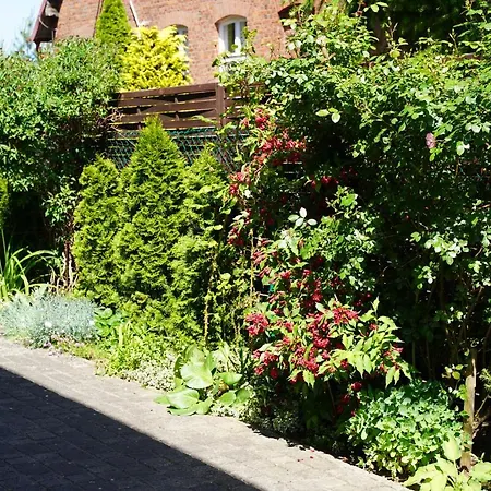 Maison d'hôtes Irmina 3*