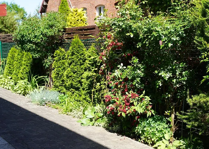 Гостевой дом Irmina 3*