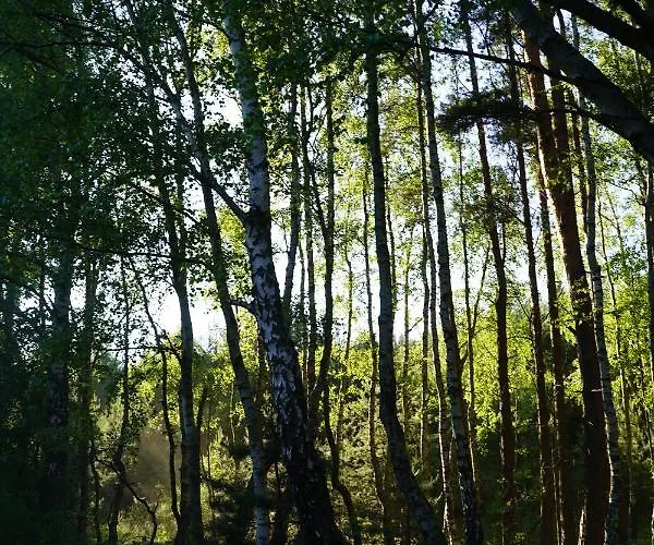 Гостевой дом Irmina